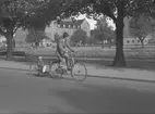 Den 16 juni 1942. Cykeltur. Åke Werving