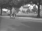 Den 16 juni 1942. Cykeltur. Åke Werving