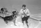 Hunddressyr på I 14. Februari 1949.