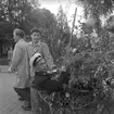 Studentexamen. 19 - 21 maj 1949. (Högre allmänna Läroverket). Beställt genom kandidat Hammarström.