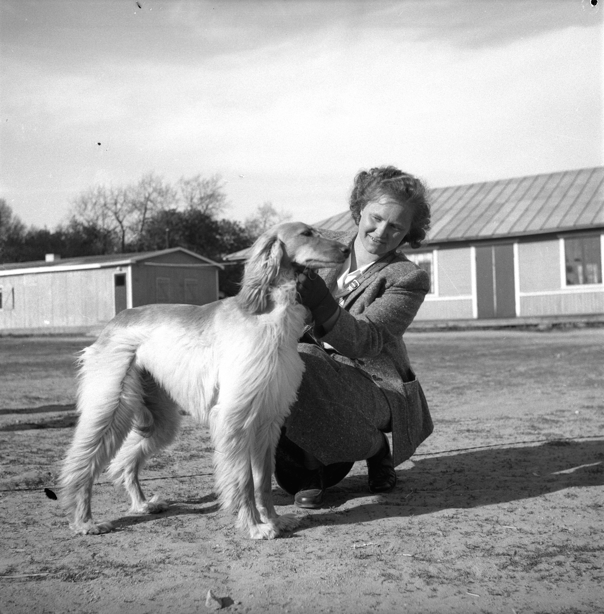 Hundutställning. 15 maj 1949.