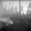 Skogsbrand Älvkarleby, Gårdskär med flera orter.       Maj 1949.