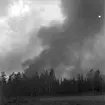 Skogsbrand Älvkarleby, Gårdskär med flera orter.       Maj 1949.