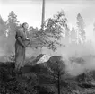 Skogsbrand i Sikvik. 23 juli 1949.