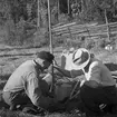 Skogsbrand i Sikvik. 23 juli 1949.