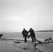 Vintertrafik i Hamnen. 6 februari 1950. Reportage för Arbetarbladet.