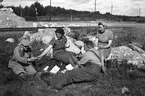 Koksplockning vid Fredriksskans. 1947. Reportage för Gefle Dagblad.