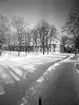 Drottninggatan och Skomakargatan vid Kvarnparken.    23 januari 1954