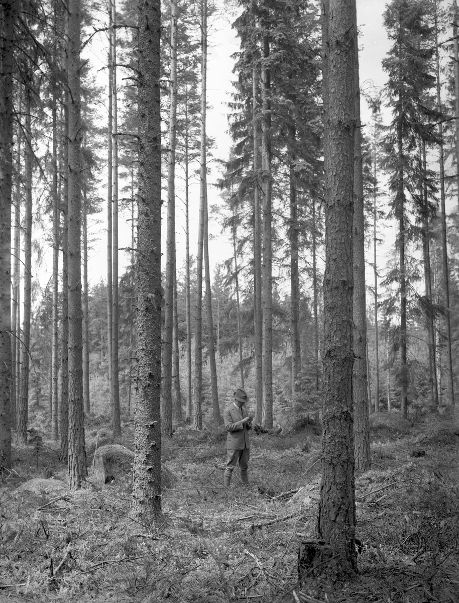 Wirsbo bruk. Orten ligger vid Strömsholms kanal och Kolbäcksåns fall, mellan Åmänningen i norr och Virsbosjön i söder. I bruket fanns en kraftstation, styckebruk för projekttillverkning, manufaktursmedja, mekanisk verkstad, ångsåg med två ramar, kant-, klyv- och stålverk samt en hyvel- och snickerifabrik.