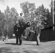 Furuvik, elefant ute på promenad