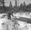 Skogsbruk i Hemsta.  Korsnäsverken har sedan länge beaktat att arbetsresultaten i mycket hög grad beror på trivseln i hemmen. Bolaget har från början succesivt höjt bostadsstandarden för sina anställda. En del av personalen bor i egna hem som uppförts med subvention från bolaget