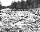 Timmer och massaved förs av vårfloden utför bivattendragen ned till Dalälven. Den 9 juni 1950. Korsnäs AB är ett av Sveriges ledande skogsindustriföretag som tillverkar kartong, säck- och kraftpapper, fluffmassa till hygienprodukter och sågade trävaror.