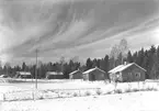 Grinduga. Den 7 februari 1955. En tendens i skogsbruket är att samla skogsarbetarna i moderna skogsarbetarbyar.