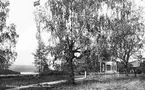 Stagårdens skogsvårdsskola, Bollnäs. Skogsvårdsstyrelsen. År 1955