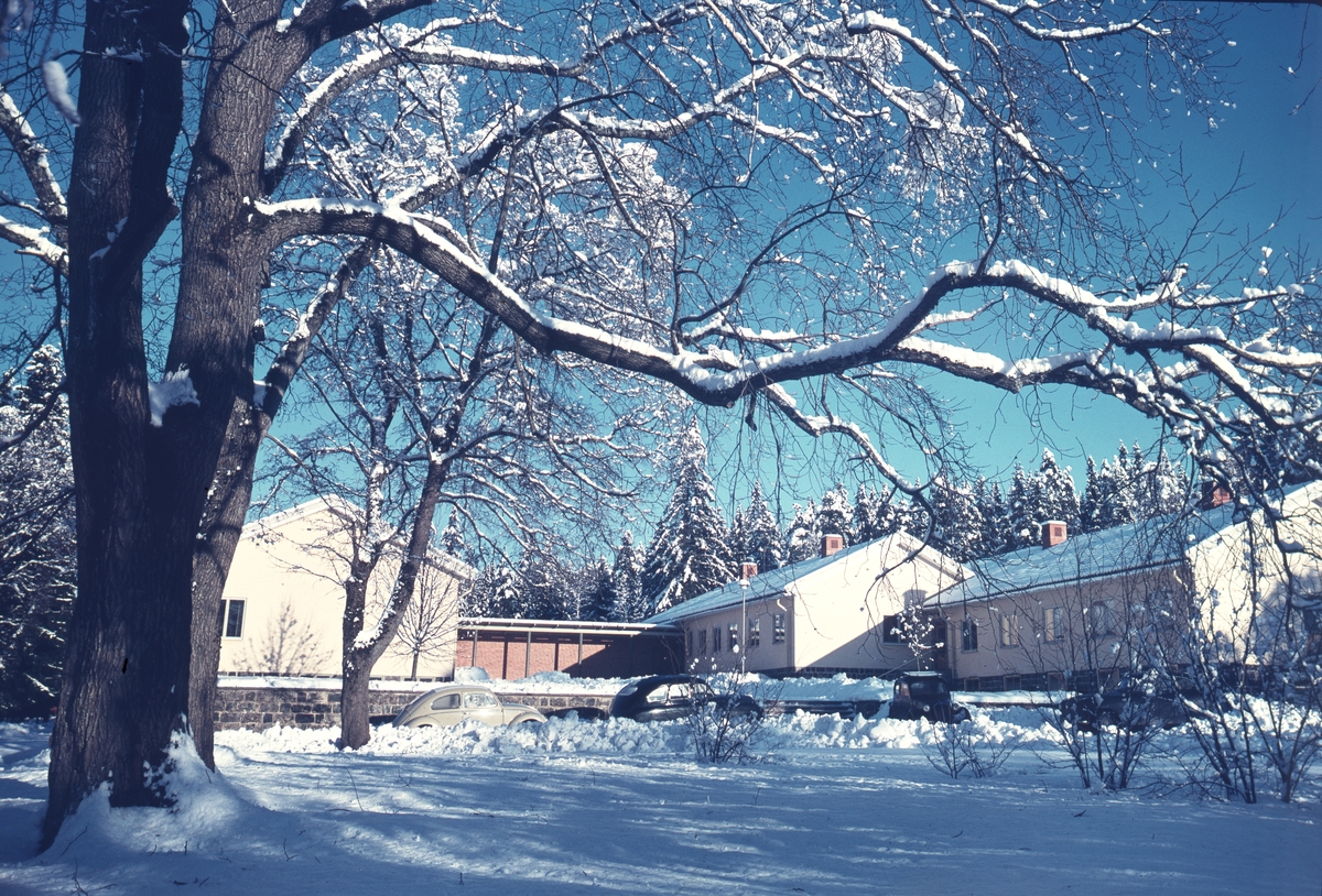 Kratte masugn, skogsbruksskola på vintern. År 1956
