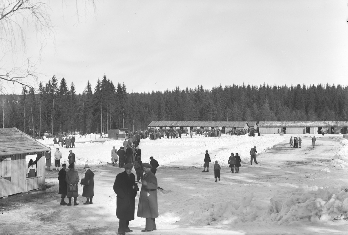 Husdyrutstilling, fesjå, hesteutstilling på Greveløkka i Hamar. Arrangementet ble fra gammelt av holdt på Utstillingsplassen, men under krigsårene la okkupantene beslag på stedet med brakkebebyggelsen sin. Utstillingen ble holdt på Greveløkka til 1948. 
Se NO-24635-01 til NO-24635-35. 
