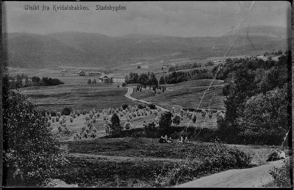 Boligbebyggelse på Stadsbygd ca. 1910