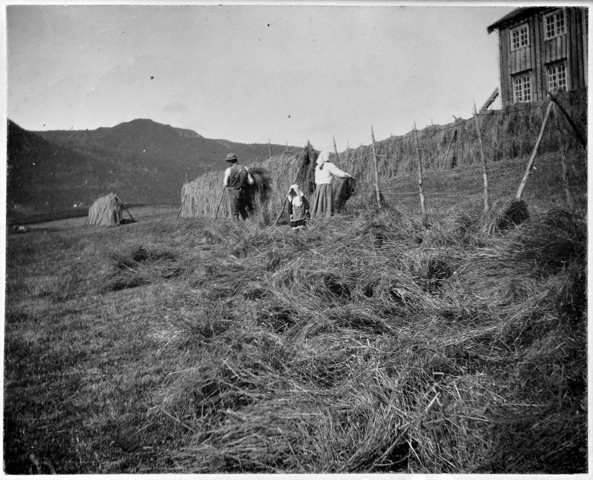 Høytørking på Sinnes