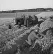 Skyllberg. Bildsidan.
1 oktober 1955.