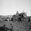 Skyllberg. Bildsidan.
1 oktober 1955.