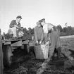 Skyllberg. Bildsidan.
1 oktober 1955.