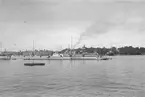 Polska ubåten ZBIK (= Vildkatt) av Wilk-klass under flottbesök i Stockholm 1932.