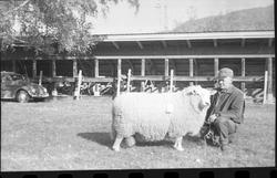 Mønstring av bøkår.