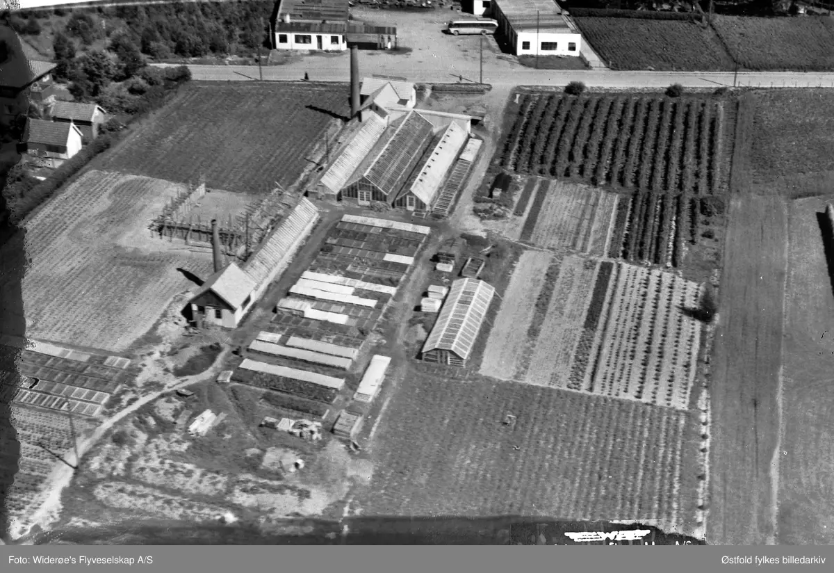 Lundquist Gartneri eller Rakkestad Gartneri i Rakkestad, skråfoto 1951.
Gartneriet lå ca. 800-900 meter fra Rakkestad sentrum. Idag ligger Stortorvet i Rakkestad der gartneriet lå dengangen. Det ble bygd på 90-tallet.