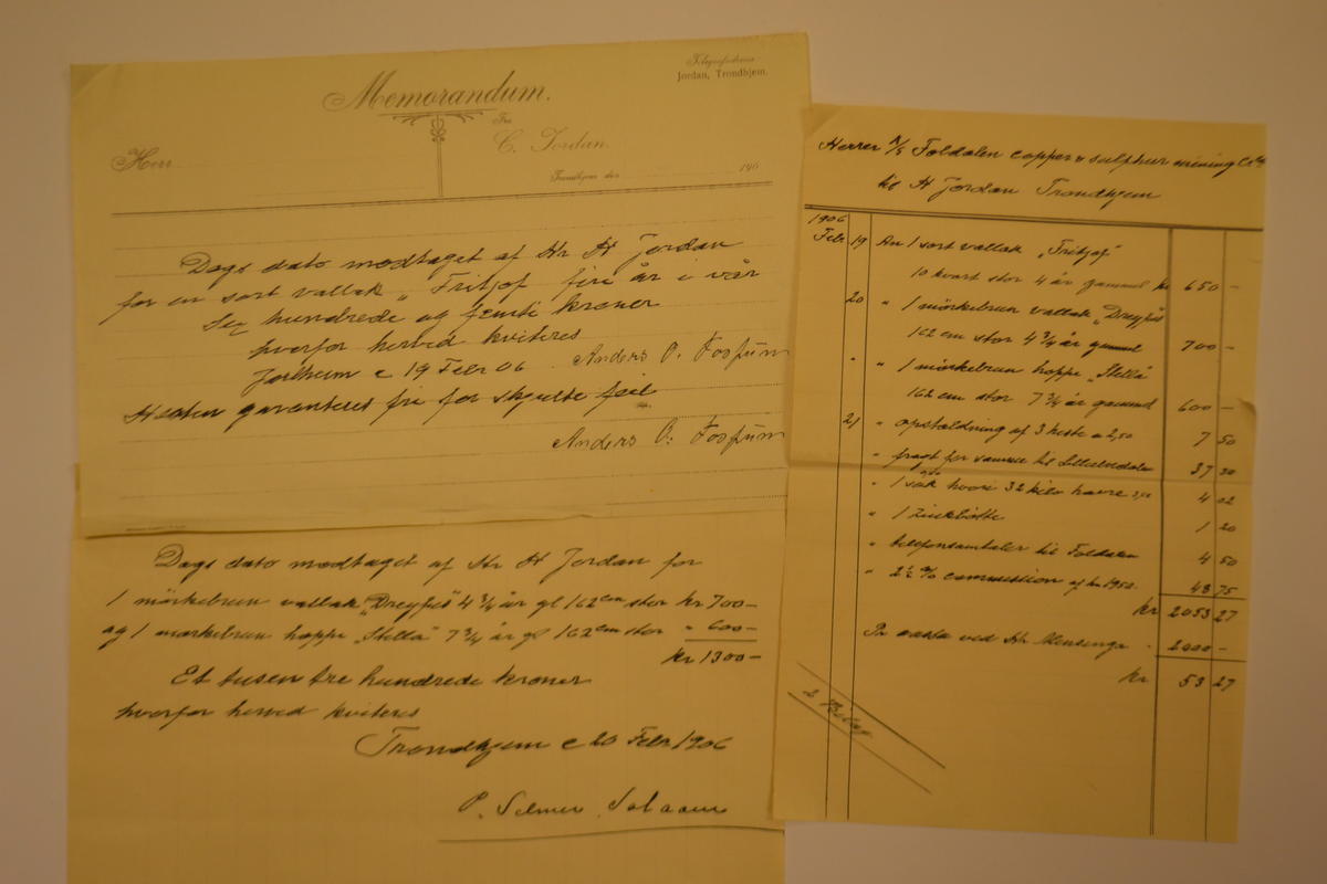 gammelt dokument folldal verk