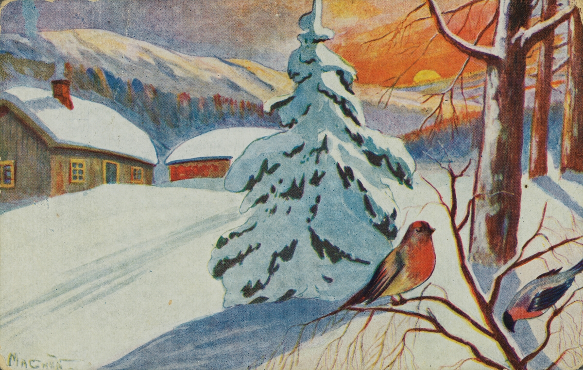 Julekort. Jule-og nyttårshilsen. Et vinterlandskap med hus i bakgrunnen. To dompapper på en gren i forgrunnen. Stemplet 19.12.1918.