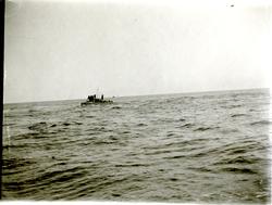 Torpedbåten Bris till sjöss