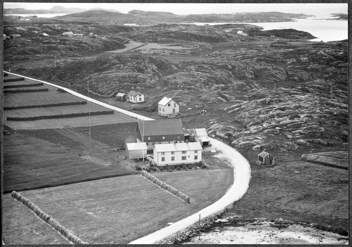 Boligbebyggelse på Haldorhamn ca. 1958