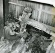 En man arbetar i vid Hölebornas linklapp i Kvarndalen, Växbo augusti 1952. (Kallas numera Trolldalen)