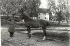 J O Andersson med häst vid Björkhults gård 1911.