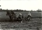 Slåtter med häst i Glabo 1914.