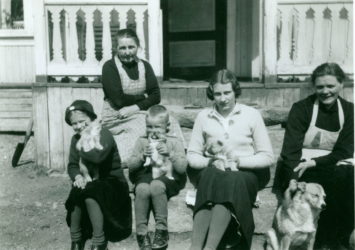 Gruppe,familie.
Frå v.Liv Bergheim,Kjell Bergheim,Liv Holtegård Roe.og Birgit Brekke Bergheim.
Bak sit Henrietta Olsgard Bergheim.