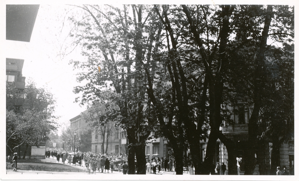 Majorstuen. 17. maitog