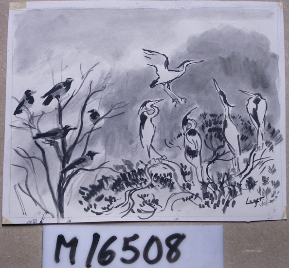 Tusch, penselteckning och lavering.
Till höger står fyra hägrar och betraktar en femte som landar 
med utspända vingar. Till vänster naket träd med fem kråkor (? )

Inskrivet i huvudbok 1958.
Montering/Ram: Ej inramad
