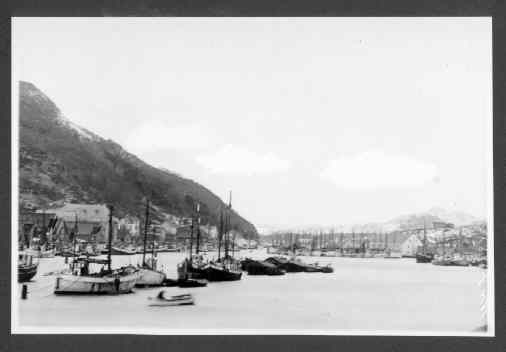 Sildefisket, fiskeskøyter på Egersund havn