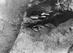 Järnåldersgravfynd.  År 1944
