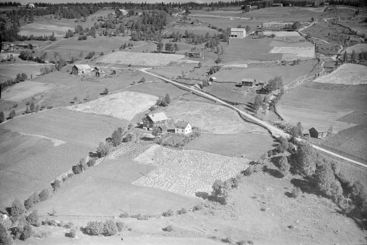 Oppgard gård, Øverbygda, Østre Gausdal, åkrer, skuronn, slåttemark, veier