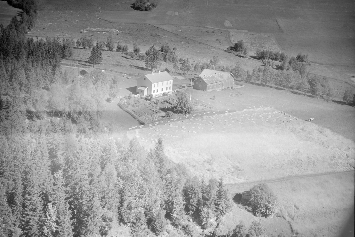 Tofte gård, Øverbygda, Østre Gausdal, åkrer, kornband