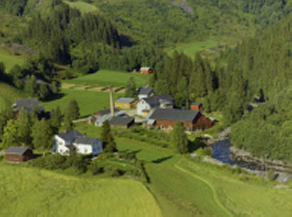 Landhandleri, Gardsbruk, Frøysesetra. Bruvang. Østre Gausdal.(Tidligere ysteri) Hvitt hus med hage og flaggstang i forgrunn samt kornåker. Lave lagerbygninger med høy pipe, stor rød lagerbygning, landhandleri i stor. toetasjes bygning. Mindre gul bygning i midten med hesjer på jorde i bakgrunnen. Flekkevis skog og Gausa til høyre.