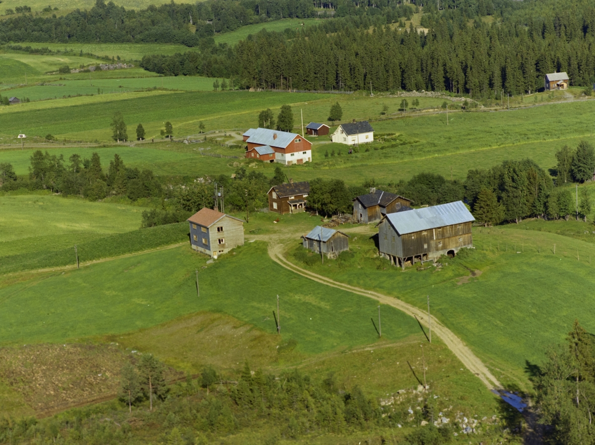 Gård. Kværnum (uttales Kveinnum i Gausdal) Østre Gausdal. Rød og hvit driftsbygning, hvitt, et og et halvtetasjes våningshus, flaggstang, rødt uthus omkranset åkre med skog i bakgrunnen. I forgrunnen, gårdstun med 2 malingsslitte våningshus, ditto driftsbygning og to uthus. Vei og åkre.