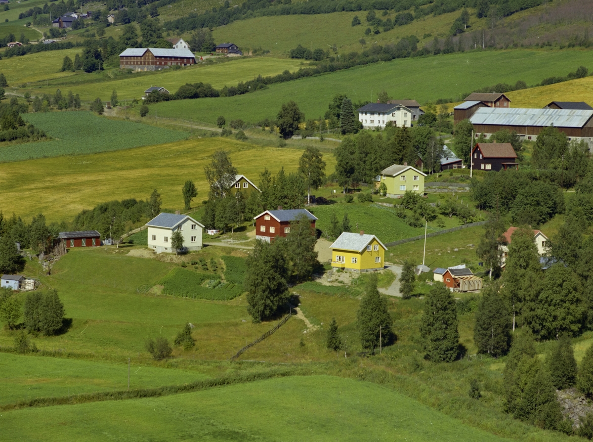 Kulturlandskap. Småhusbebyggelse, gårdsbruk bak i bildet.