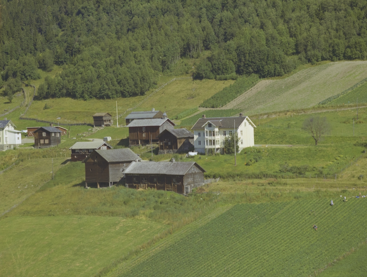 Aulstad Nedre (Nigard) , gamle bygninger, klokketårn, Aulstad nordre til venstre, arbeidere på jorde, Olstad, Vestre Gausdal,