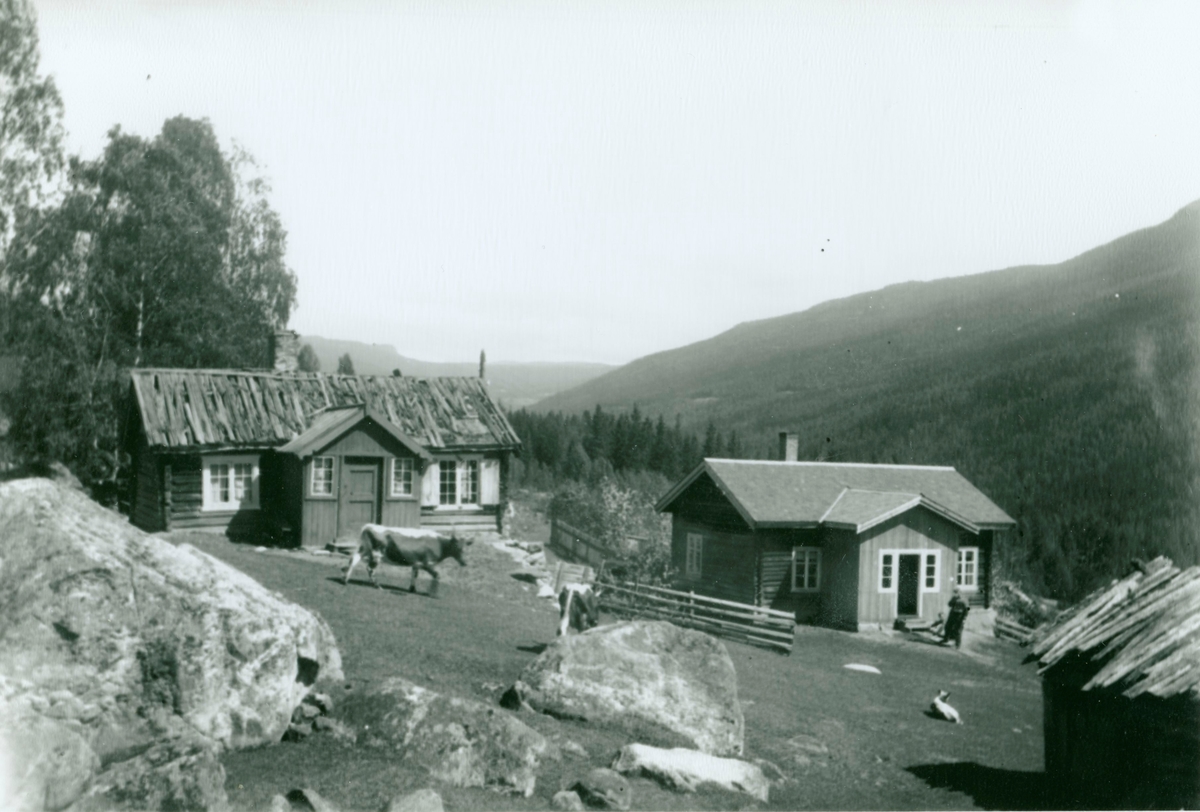 Botten på Tuppeskogen.