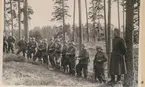 Signaltrupperna, S2, 1950.Övningar vid Bredsjön.