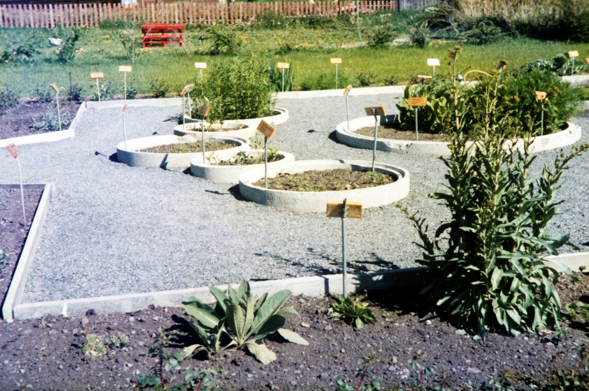Urtehagen, Domkirkeodden. Anlagt og åpnet i 1975. Bildet antatt å være fra 1975-76.