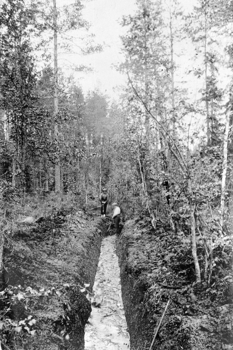 Romedal almenning, Stange. Skogbruk, grøfting, myr, ukjent sted.